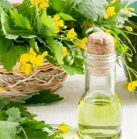 Celandine v boju proti glivi